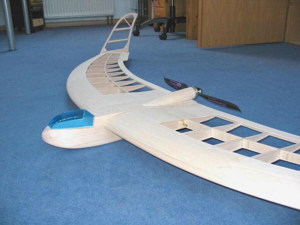 Erster Nurflügler, der Sichelflieger