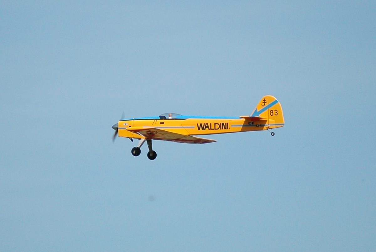 2006/2006-06/Albatros_06-2006_12.jpg