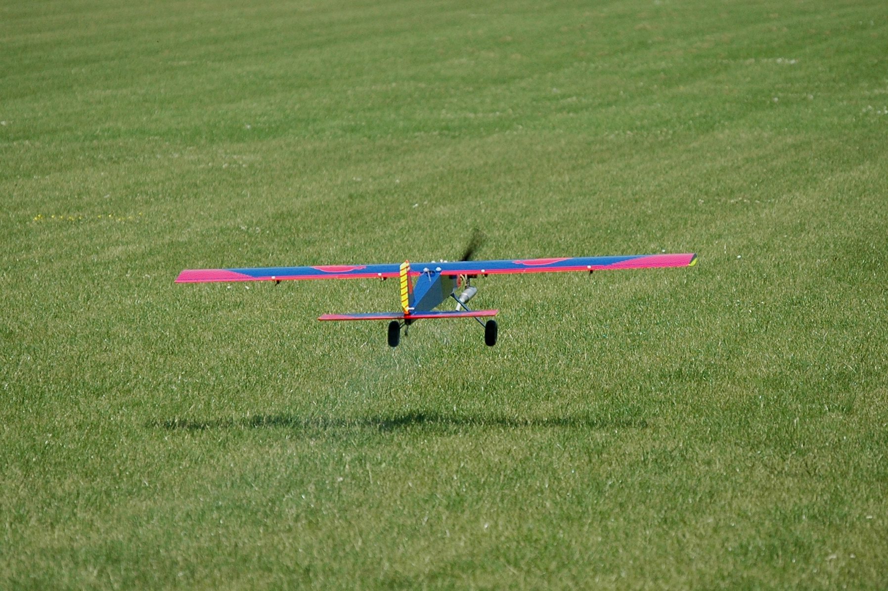 2006/2006-06/Albatros_06-2006_34.jpg