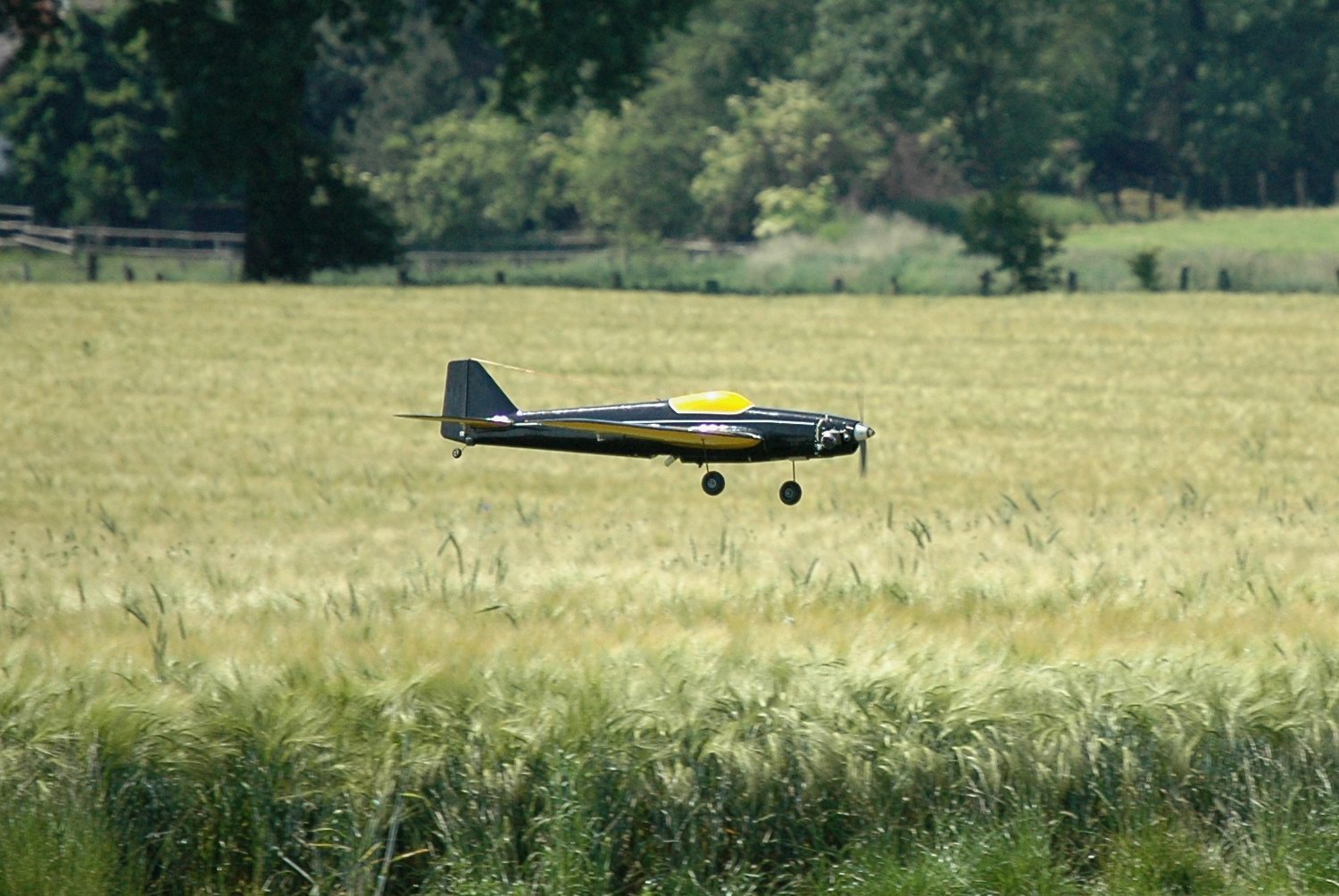 2006/2006-06/Albatros_06-2006_35.jpg