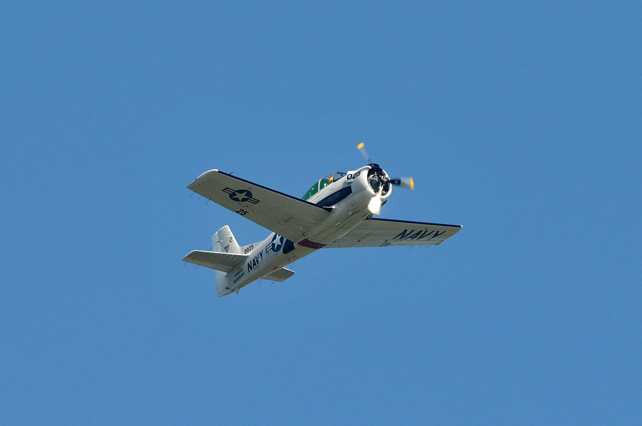 2008/2008-08/2008-08-30_Albatros_050.jpg