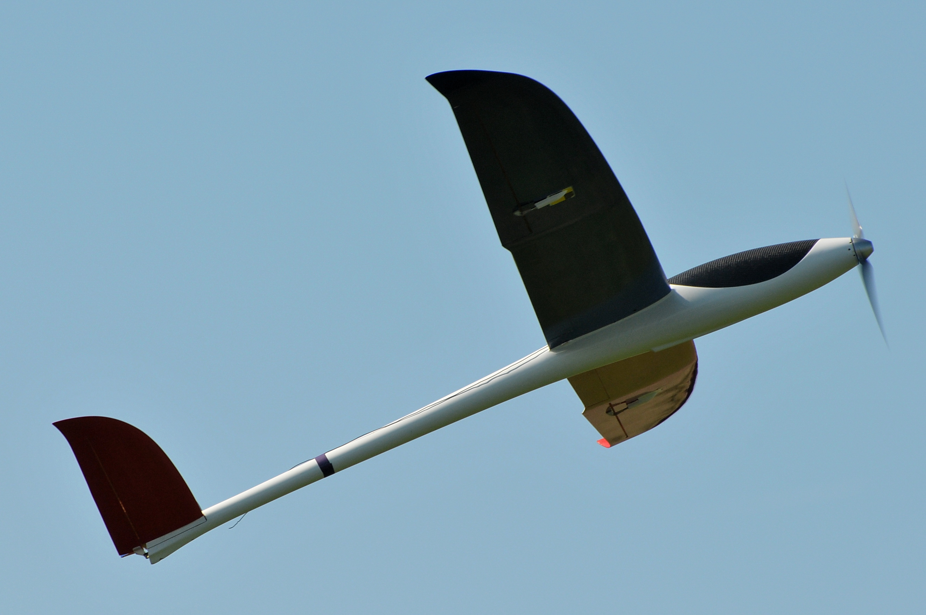 2008/2008-08/2008-08-30_Albatros_236.JPG