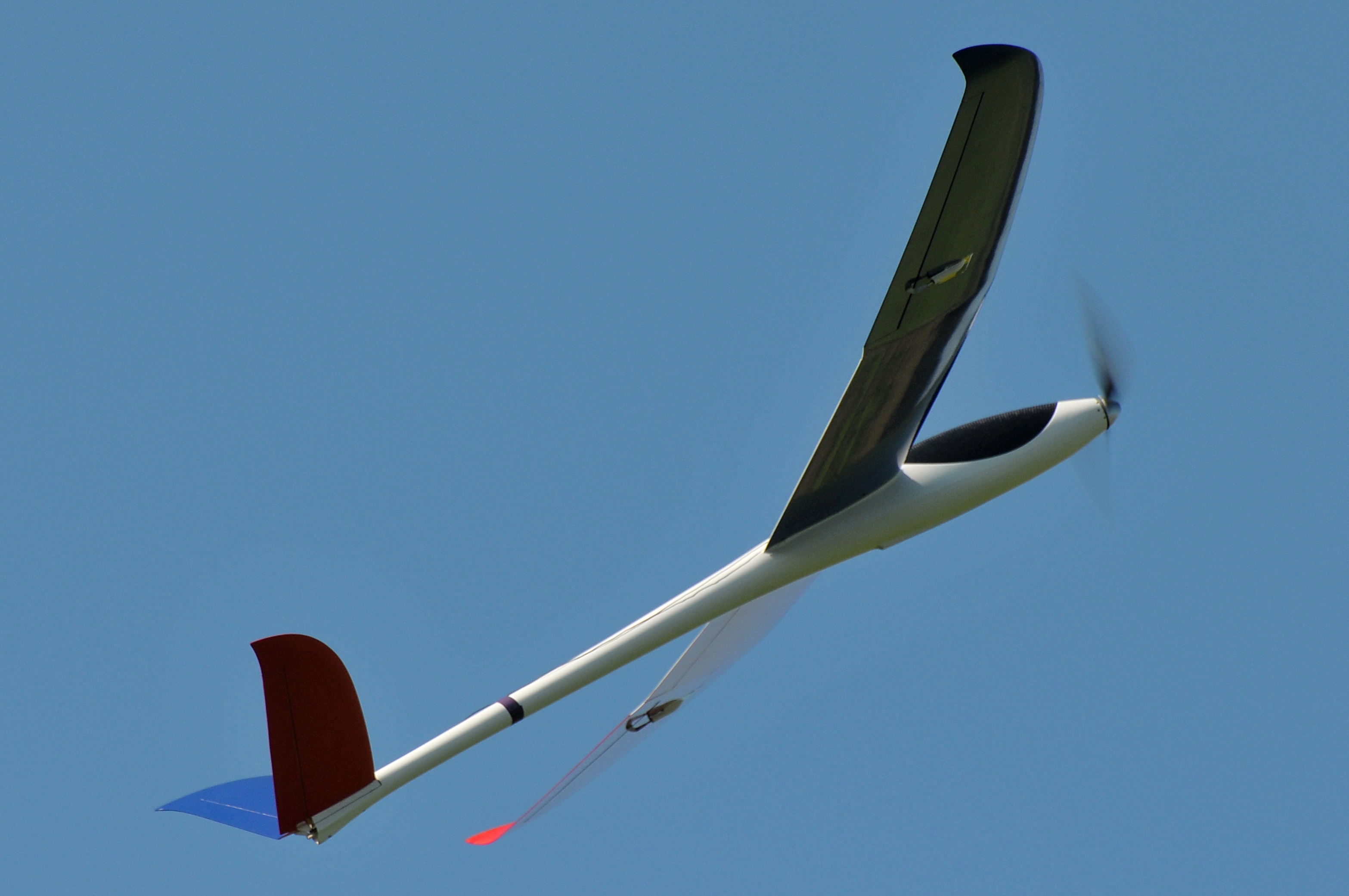 2008/2008-08/2008-08-30_Albatros_237.JPG