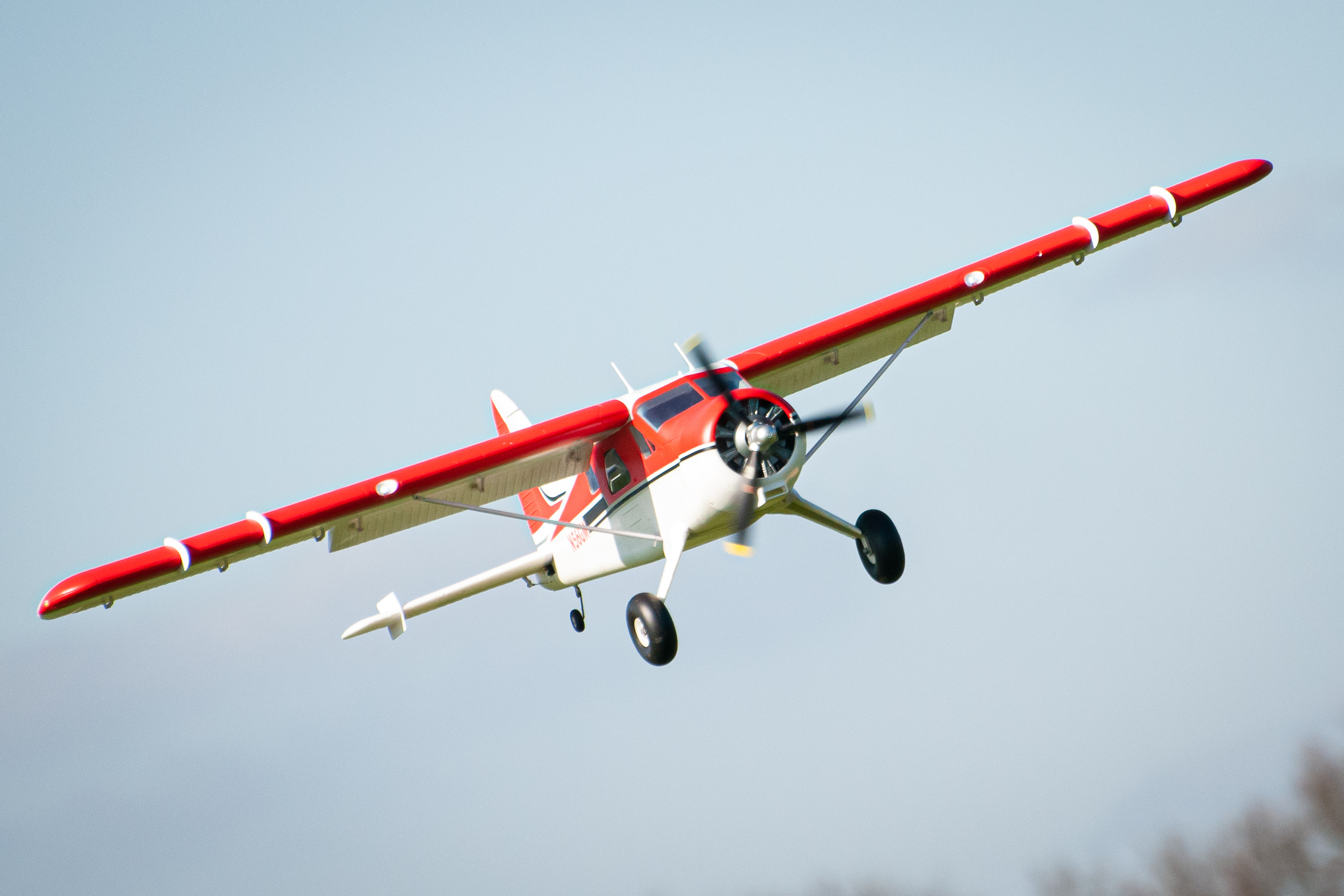 2025/2025-03/2025-03-02_LSV-Flieger-D300_-2501.jpg