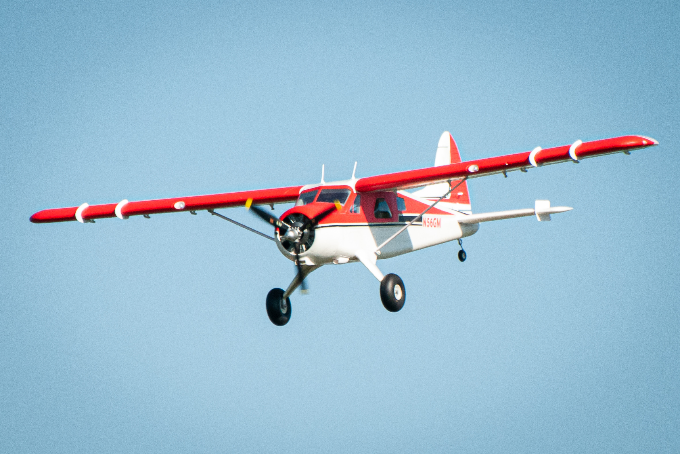 2025/2025-03/2025-03-02_LSV-Flieger-D300_-2509.jpg