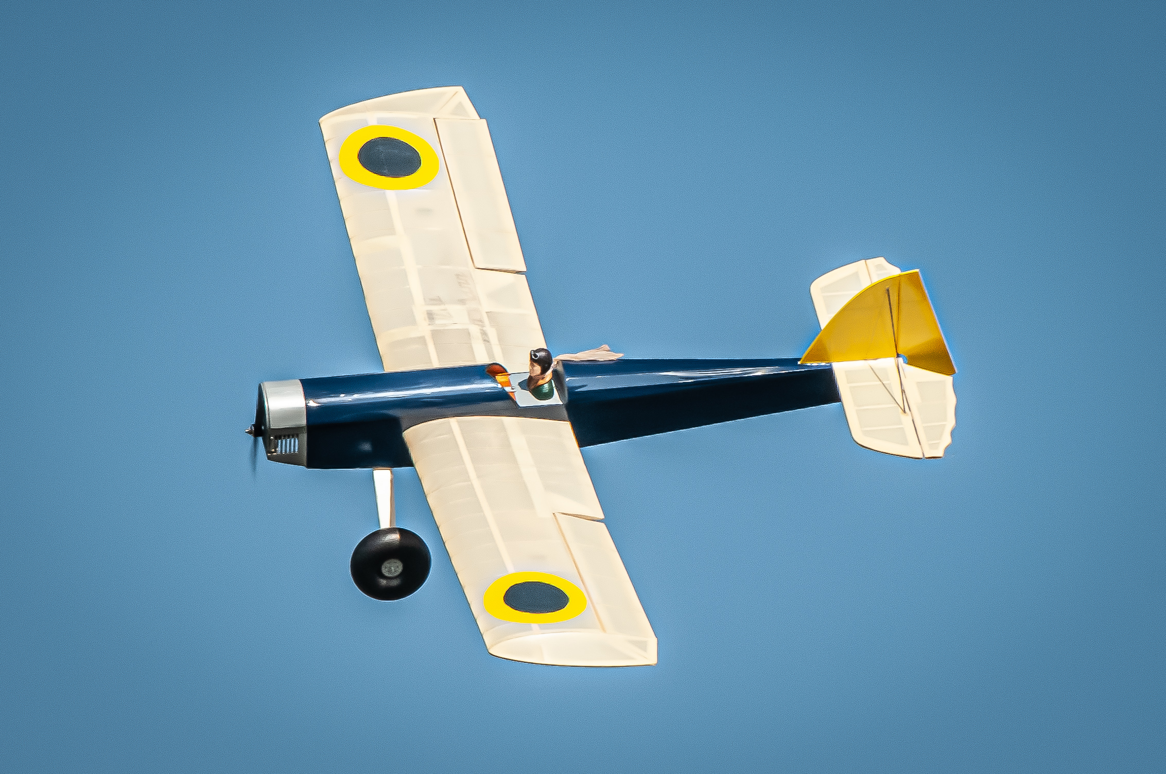 2025/2025-03/2025-03-09_LSV-Flieger-3408.jpg