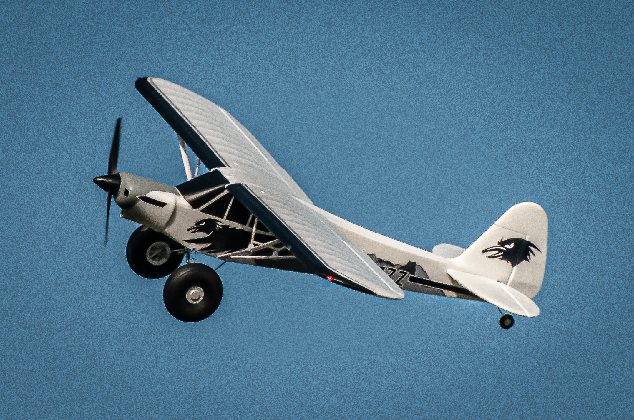 2025/2025-03/2025-03-09_LSV-Flieger-3564.jpg