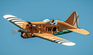 2025/2025-03/Ratte.jpg
