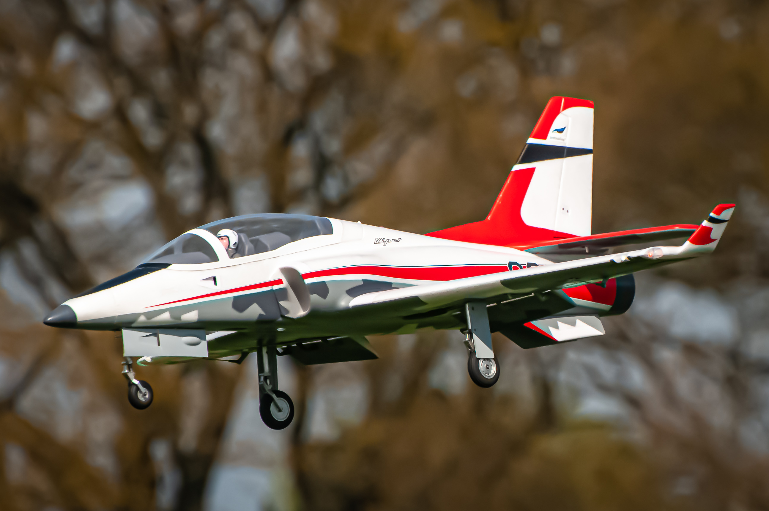 2025/2025-04/2025-04-11_LSV-Flieger-4470.jpg