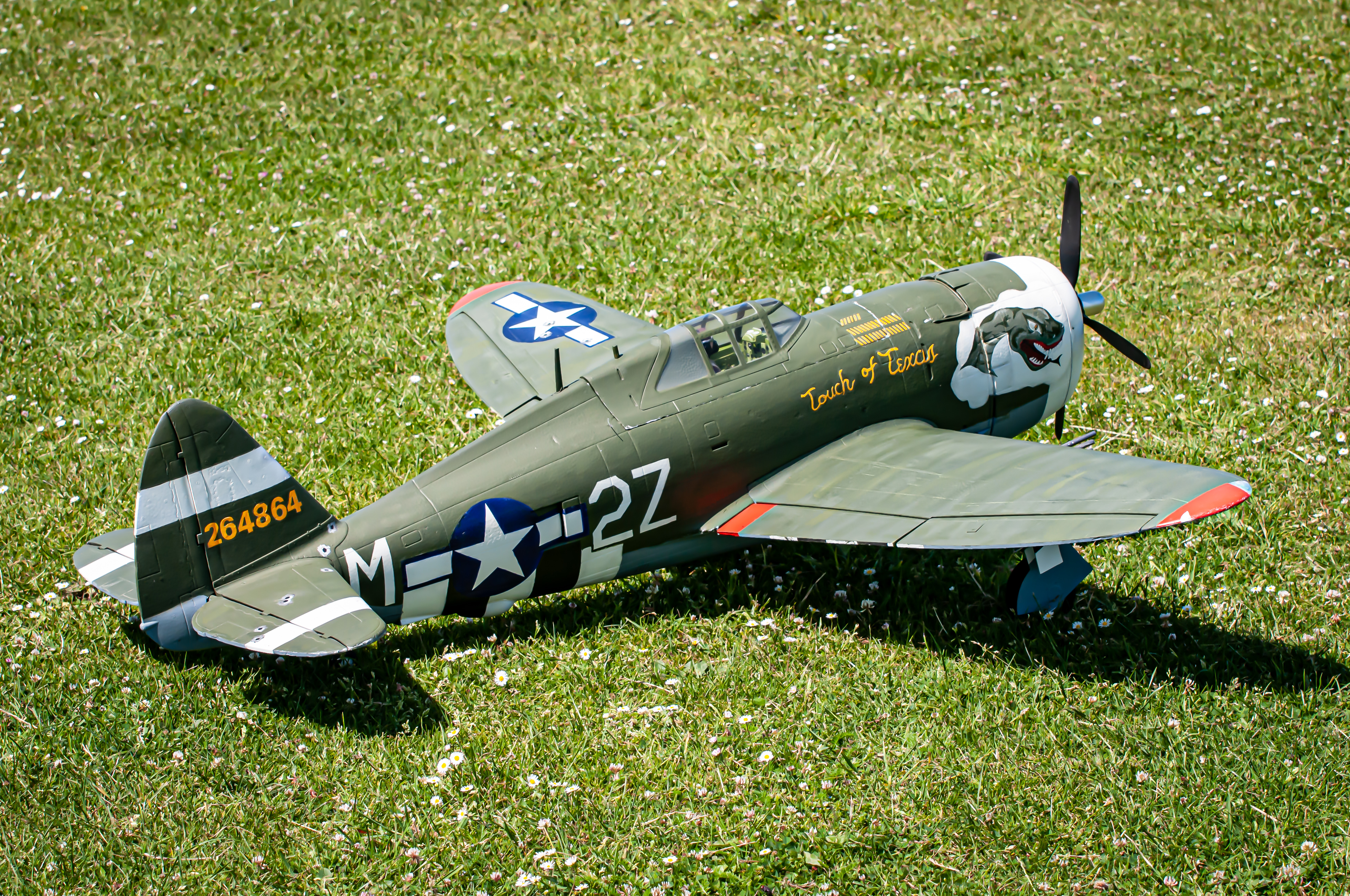2025/2025-06/2025-06-19_LSV-Flieger-6681.jpg