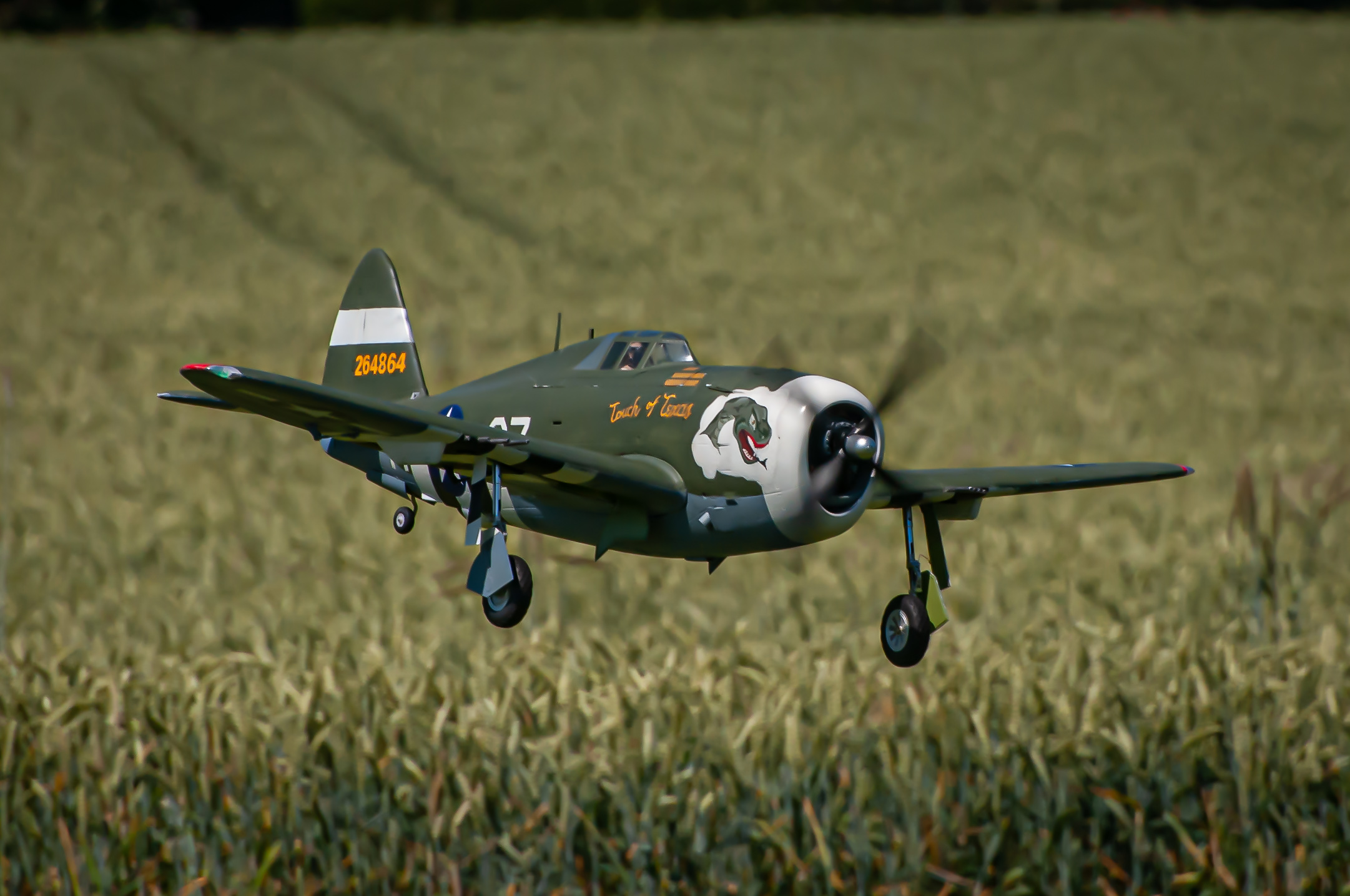 2025/2025-06/2025-06-19_LSV-Flieger-6715.jpg