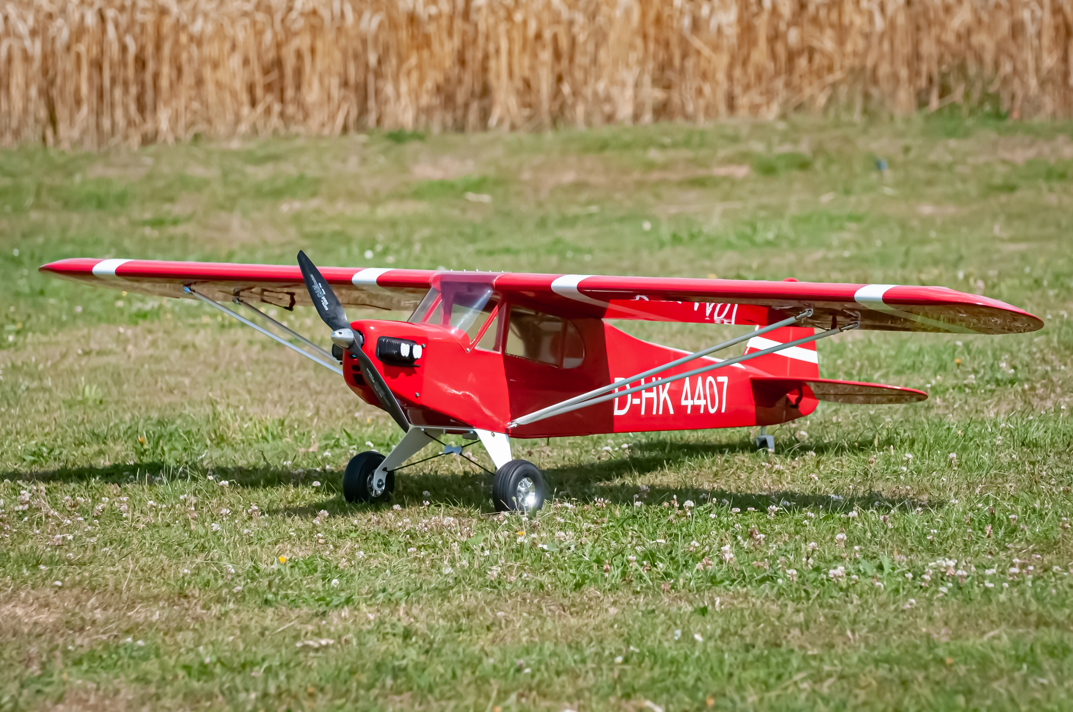 2025/2025-08/2025-08-10_LSV-Flieger-7599.jpg