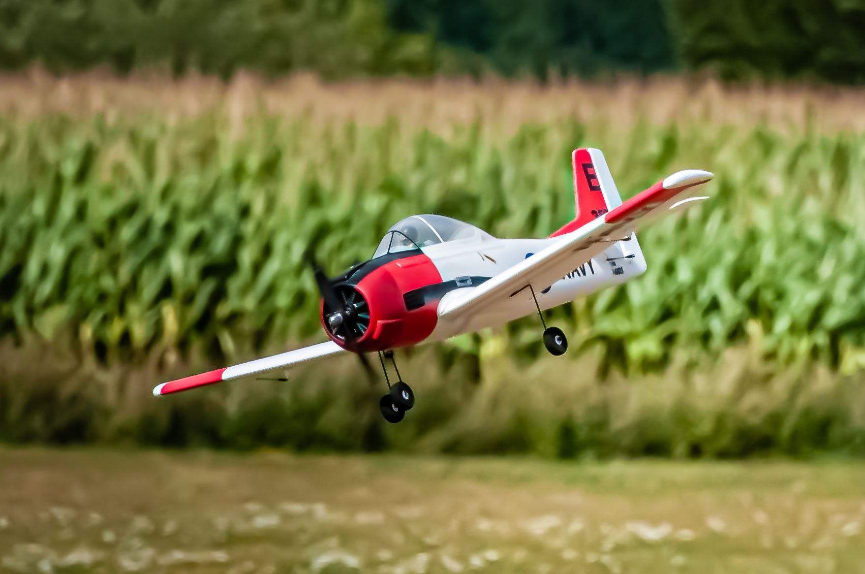 2025/2025-08/2025-08-30_LSV-Flieger-8036.jpg