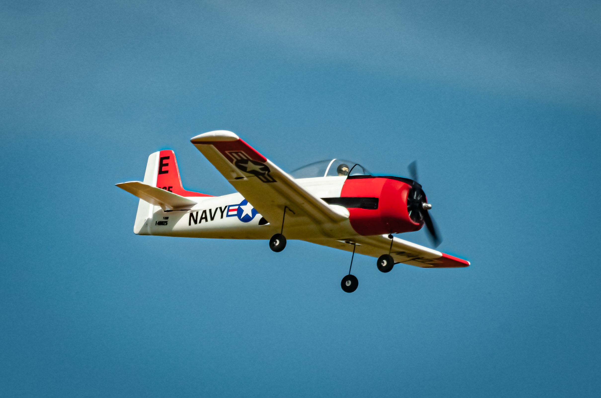2025/2025-09/2025-09-06_LSV-Flieger-8246.jpg