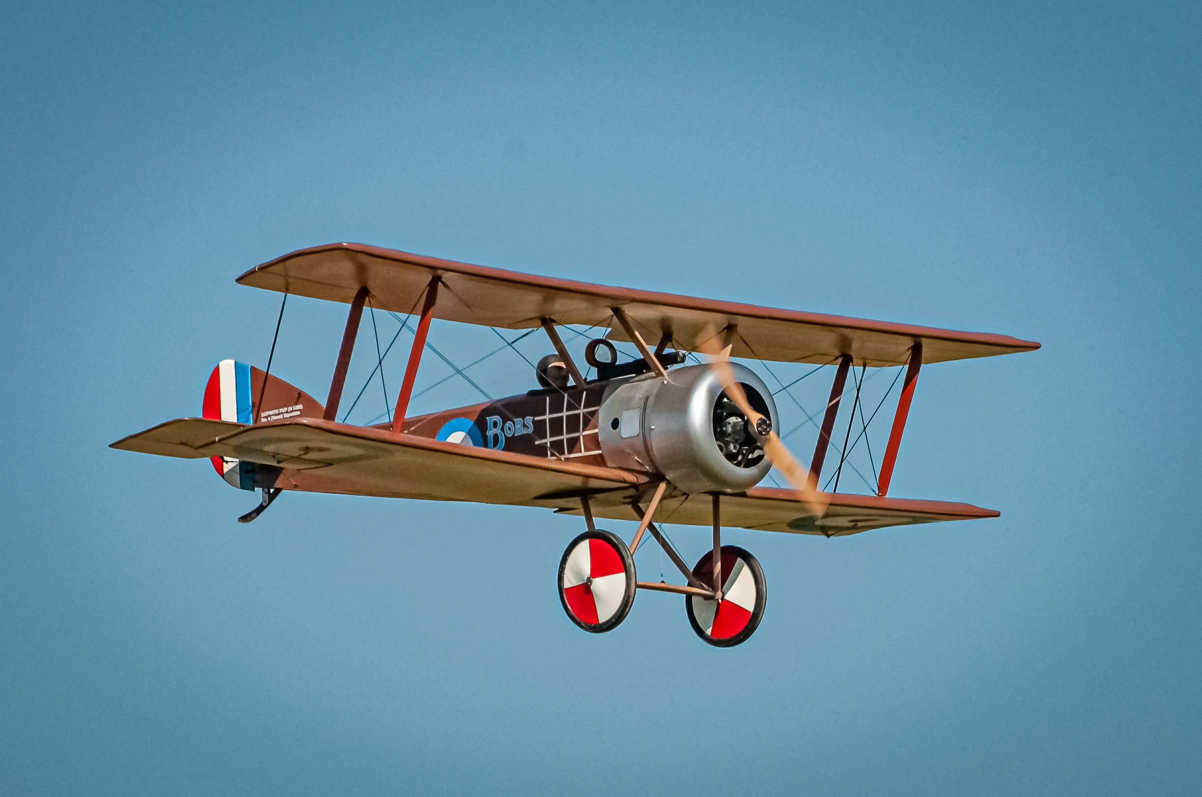 2025/2025-09/2025-09-06_LSV-Flieger-8282.jpg