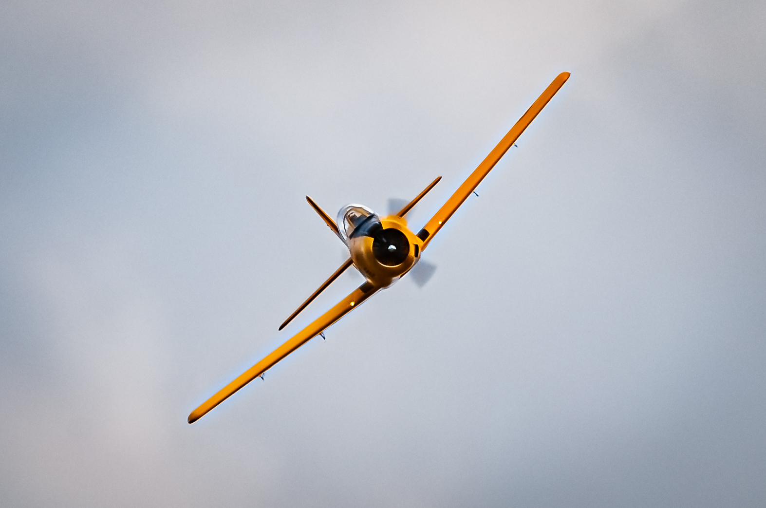 2025/2025-11/2025-11-02_LSV-Flieger-8526.jpg