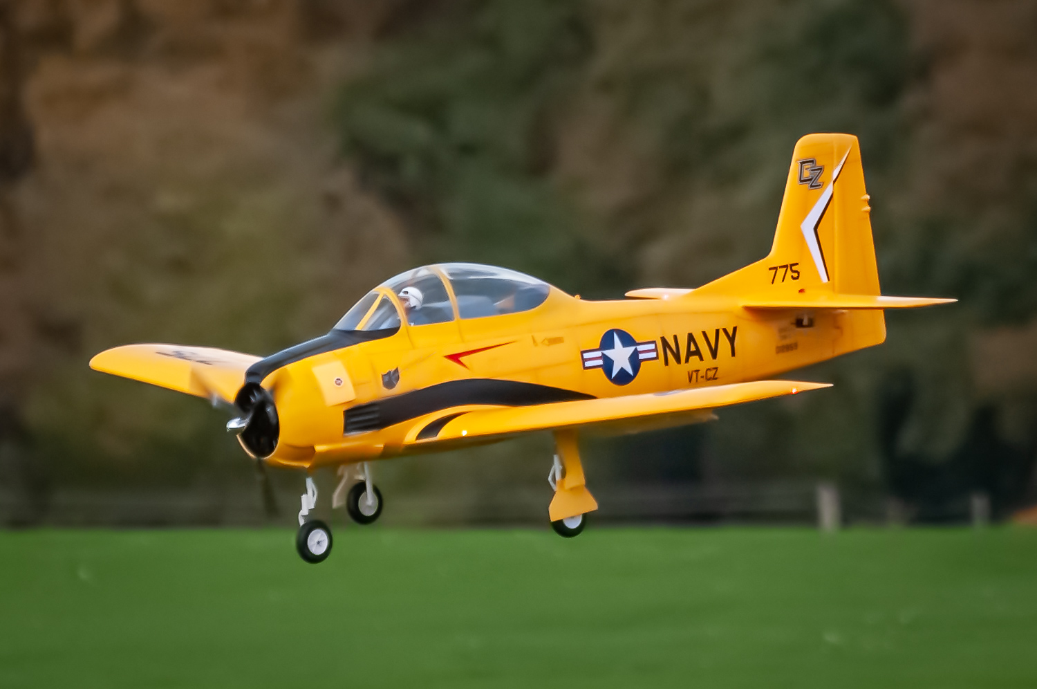 2025/2025-11/2025-11-02_LSV-Flieger-8560.jpg