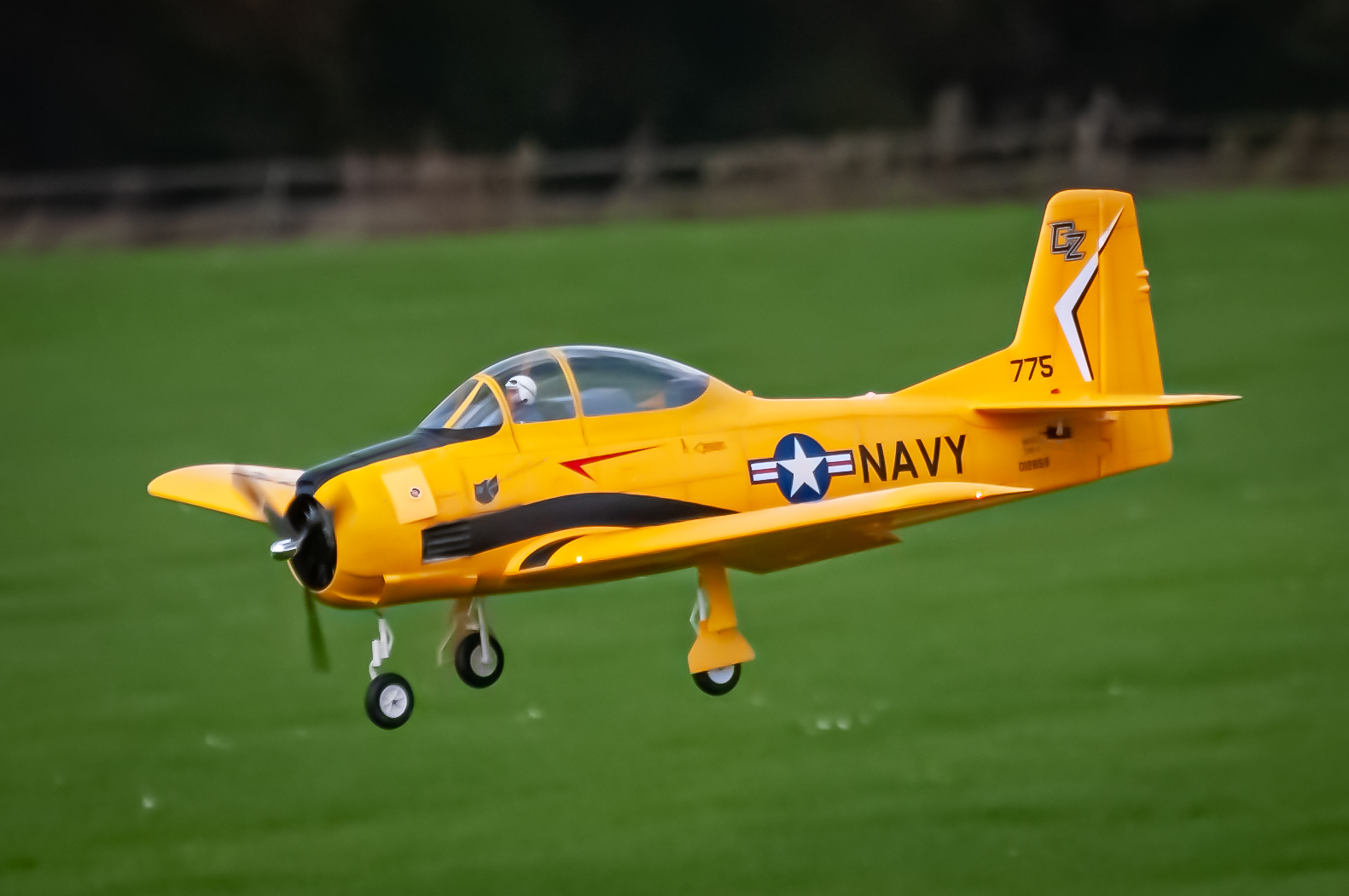 2025/2025-11/2025-11-02_LSV-Flieger-8561.jpg