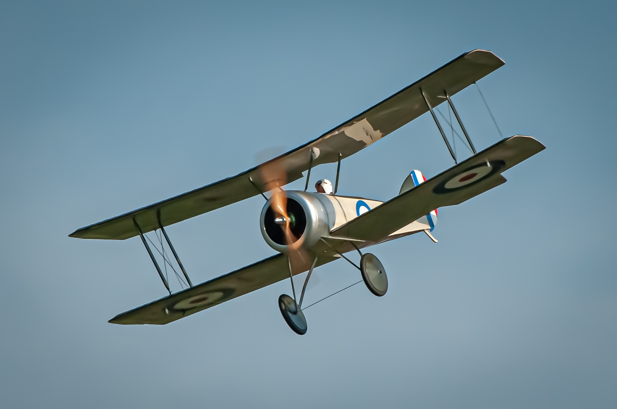 2026/2026-03/2026-03-04_LSV-Flieger-8848.jpg