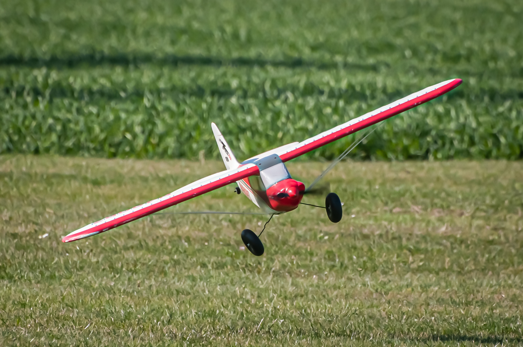 2026/2026-03/2026-03-22_LSV-Flieger-9675.jpg