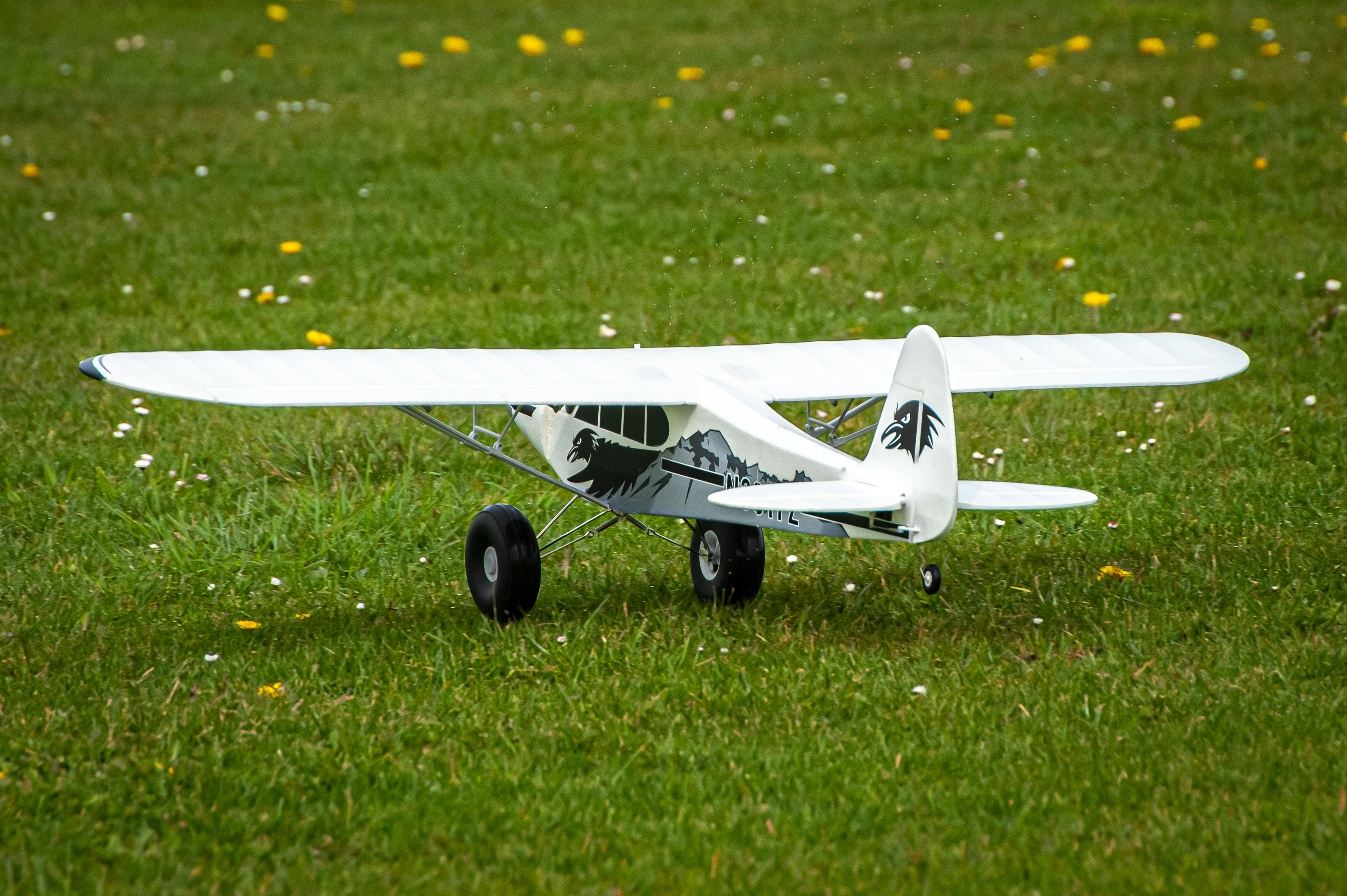 2026/2026-04/2026-04-12_LSV-Flieger-9224-2.jpg